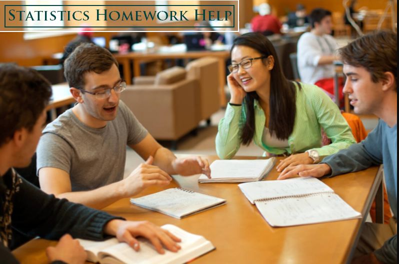 statistics homework help reviews